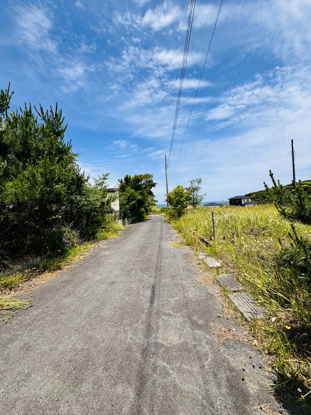 茨城県鉾田市上沢[3]